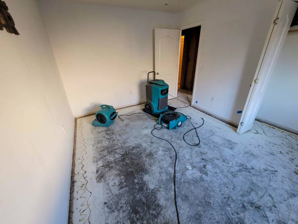 Best Flood damage cleanup  in Paulden, AZ