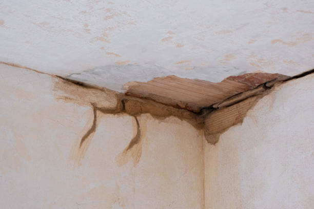 Best Water damage restoration near me  in Paulden, AZ