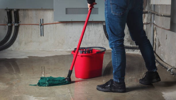Reliable Paulden, AZ Water damage restoration Solutions