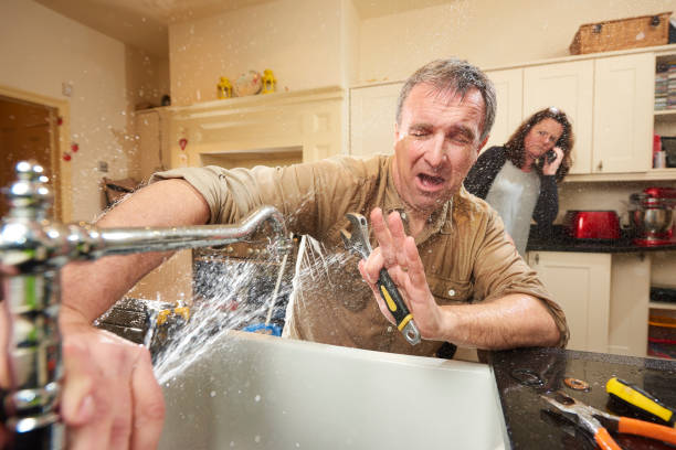Best Professional water damage repair  in Paulden, AZ
